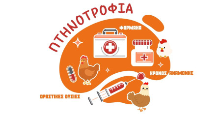 Αντιμετώπιση ασθενειών στις κότες: Φάρμακα, δραστικές ουσίες, χρόνος αναμονής